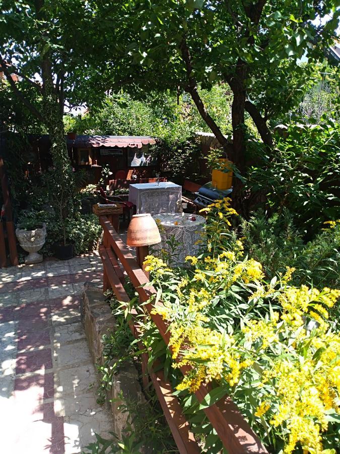 Durmitor Appartement Kumanovo Buitenkant foto