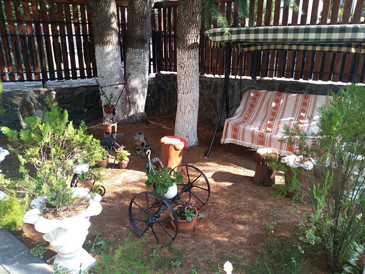 Durmitor Appartement Kumanovo Buitenkant foto