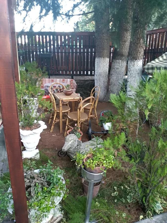 Durmitor Appartement Kumanovo Buitenkant foto