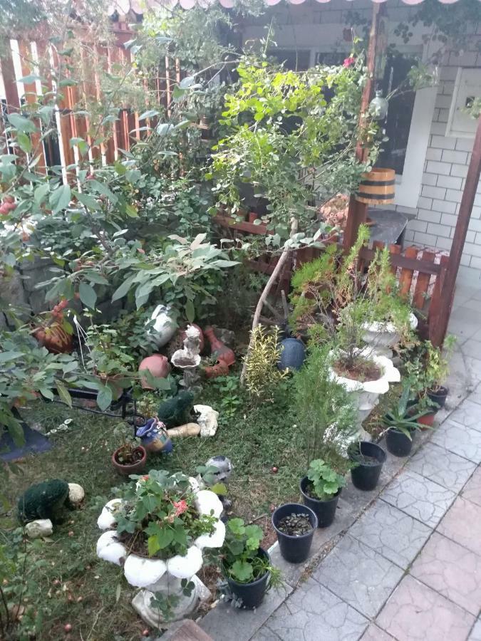 Durmitor Appartement Kumanovo Buitenkant foto