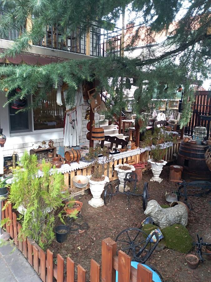 Durmitor Appartement Kumanovo Buitenkant foto